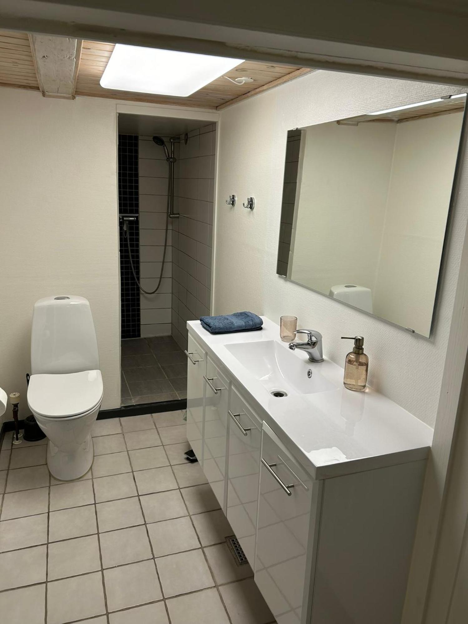 H. C. Lumbyes Vej - Kaelderlejlighed Odense Extérieur photo